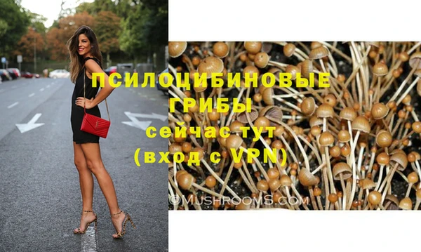 прущие крисы Алексин