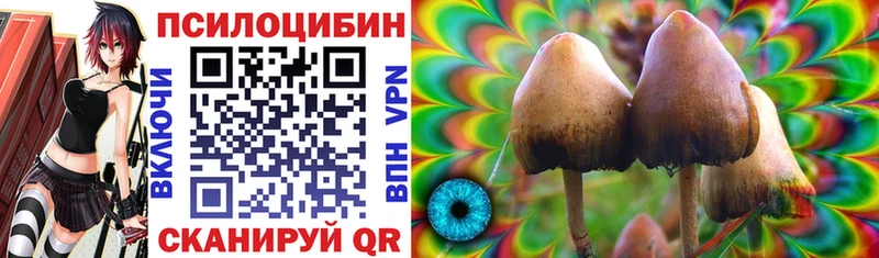 Галлюциногенные грибы мицелий Красногорск